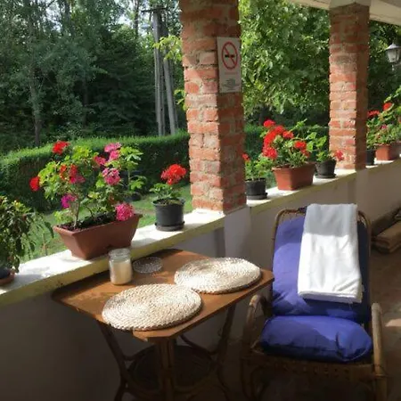 Misu - Haza 게스트하우스